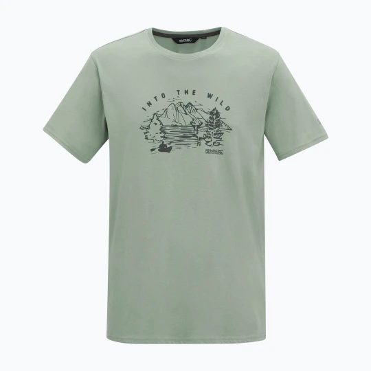 Zdjęcie produktu Koszulka męska Regatta ClineIX glacier wild scene Szary
