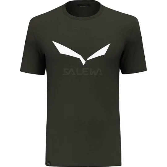 Zdjęcie produktu Koszulka męska Solidlogo Salewa Zielony