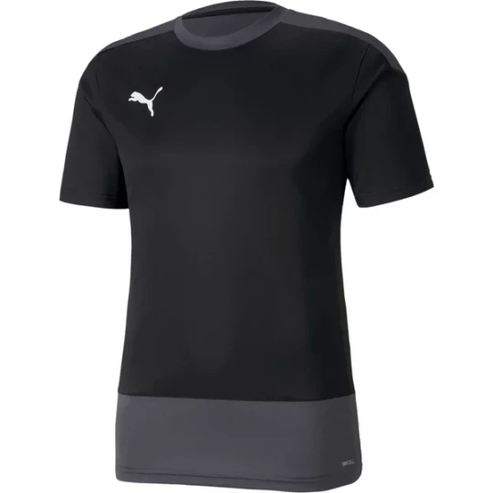 Zdjęcie produktu Koszulka męska teamGOAL 23 Training Jersey Puma Czarny