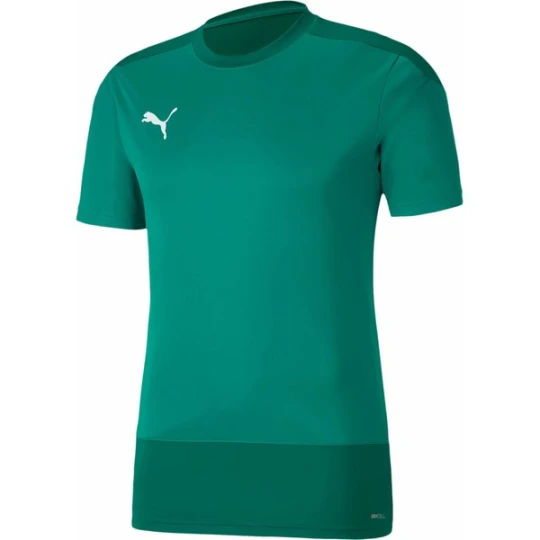 Zdjęcie produktu Koszulka męska teamGOAL 23 Training Jersey Puma Zielony