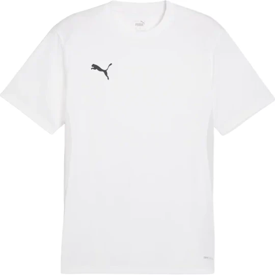 Zdjęcie produktu Koszulka męska teamGoal Jersey Puma Biały