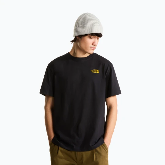 Zdjęcie produktu Koszulka męska The North Face Apex '75 Collage Relaxed Hoodie tnf black