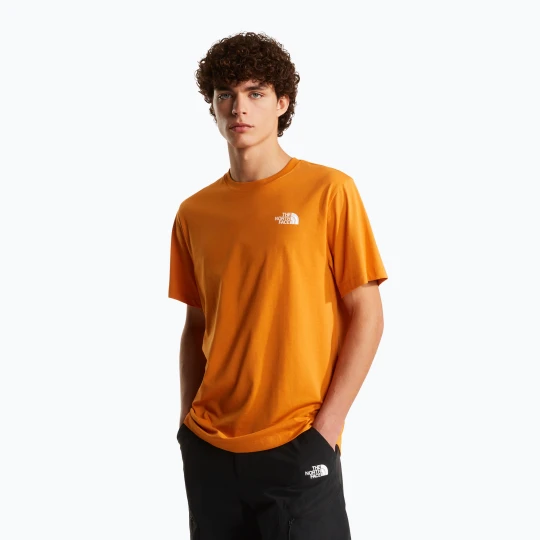 Zdjęcie produktu Koszulka męska The North Face Evolution Box NSE dust orange