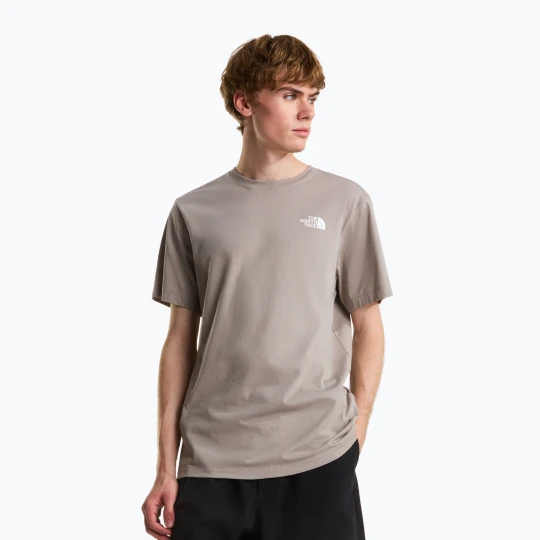 Zdjęcie produktu Koszulka męska The North Face Evolution Box NSE stone slab Beżowy
