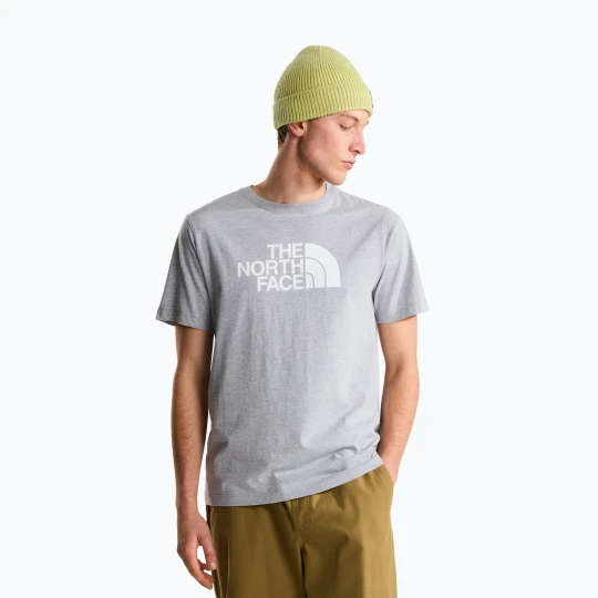 Zdjęcie produktu Koszulka męska The North Face Evolution Half Dome tnf pale grey heather
