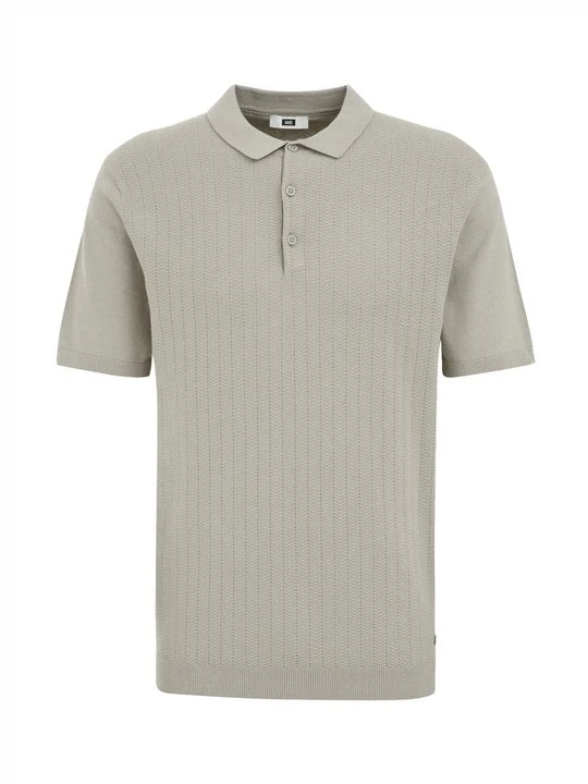Zdjęcie produktu Koszulka polo WE Fashion jasnoszary