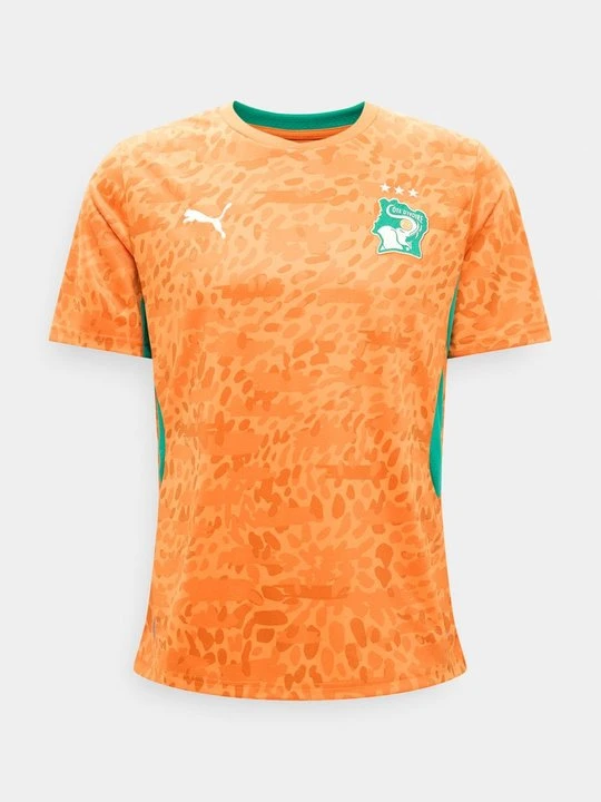 Zdjęcie produktu Koszulka reprezentacji Puma pomarańczowy