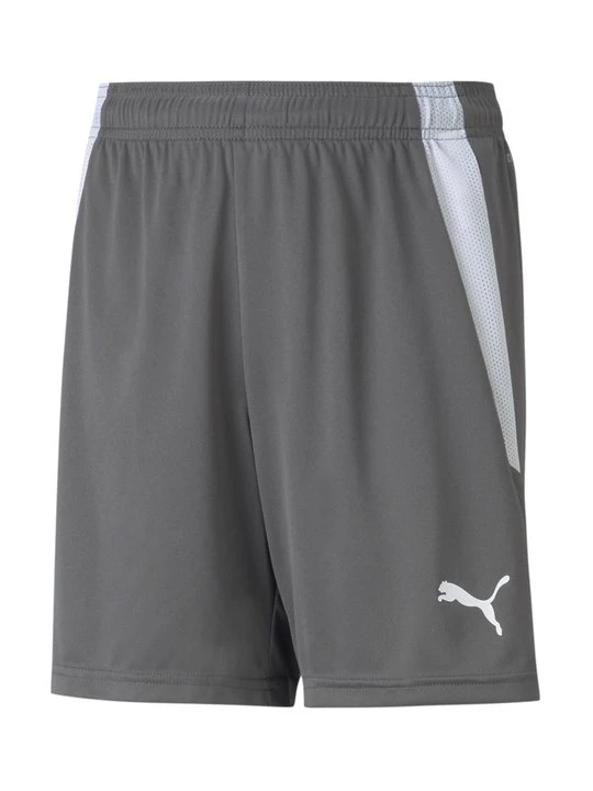 Zdjęcie produktu Krótkie spodenki sportowe Puma szary