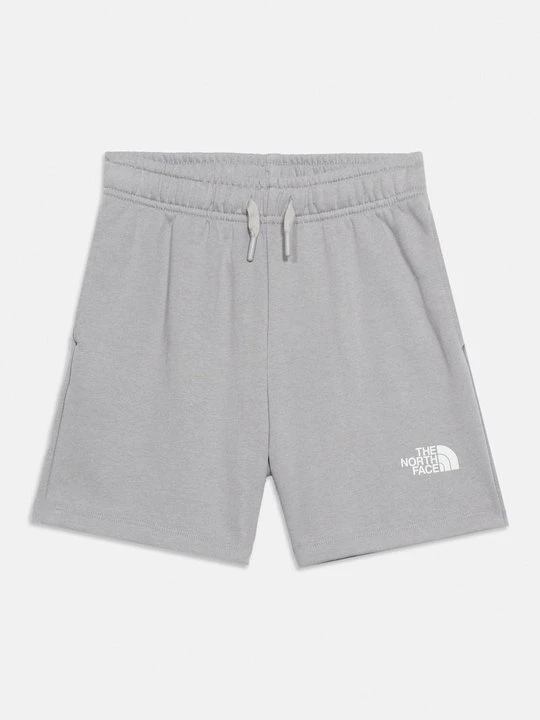 Zdjęcie produktu Krótkie spodenki sportowe The North Face szary