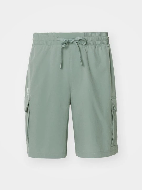 Zdjęcie produktu Krótkie spodenki sportowe Under Armour zielony