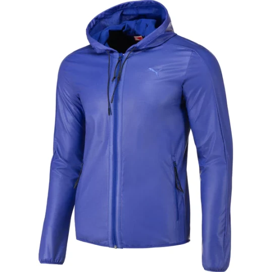 Zdjęcie produktu Kurtka męska Zip Through Hoody Puma Niebieski
