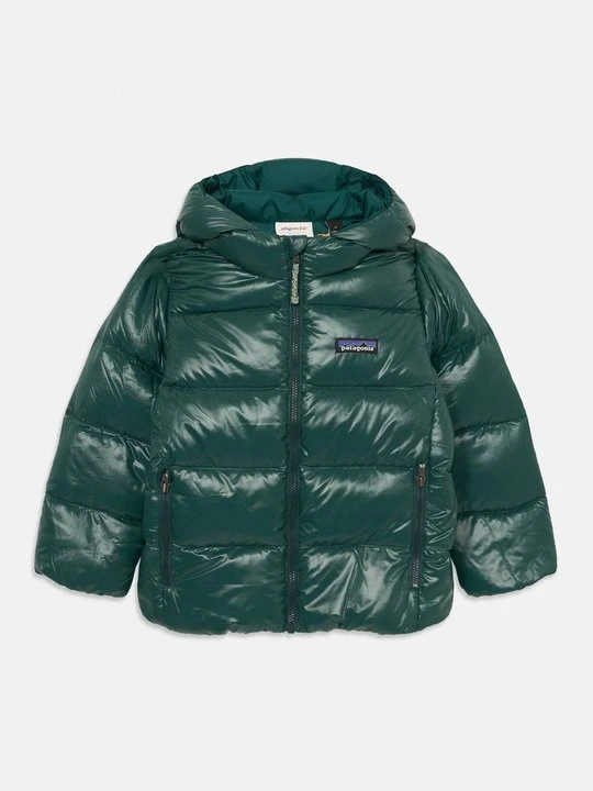 Zdjęcie produktu Kurtka puchowa Patagonia ciemnozielony