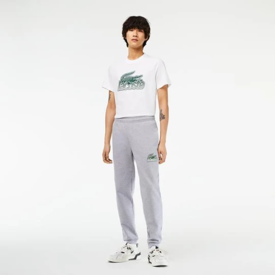 Zdjęcie produktu Lacoste Erkek Slim Fit Gri Eşofman Altı
