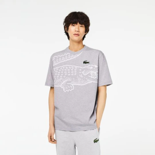 Zdjęcie produktu Lacoste Erkek Loose Fit Bisiklet Yaka Baskılı Gri T-Shirt