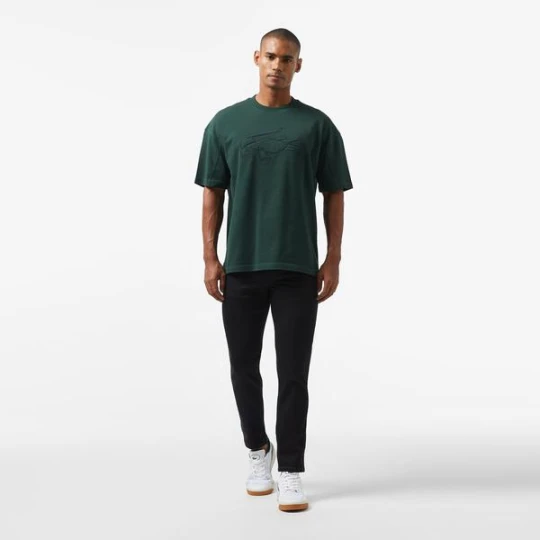 Zdjęcie produktu Lacoste spodnie męskie