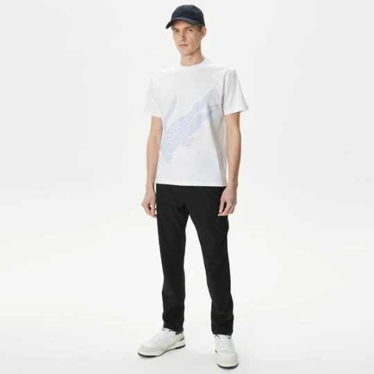 Zdjęcie produktu Lacoste spodnie męskie