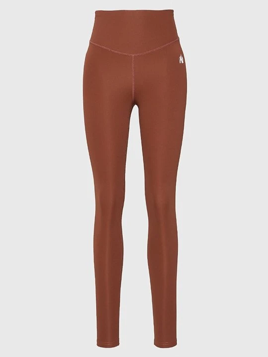 Zdjęcie produktu Legginsy Gorilla Wear brązowy