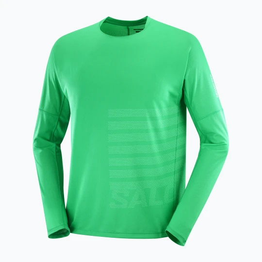 Zdjęcie produktu Longsleeve do biegania męski Salomon Sense Aero Tee GFX parakeet/spearmint Zielony