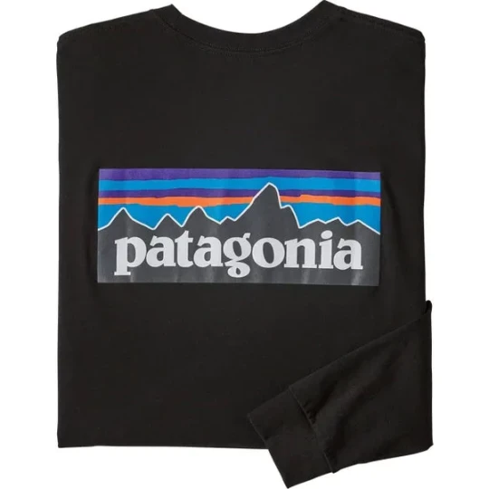 Zdjęcie produktu Longsleeve męski P-6 Logo Responsibili Tee Patagonia Czarny