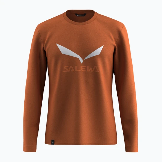 Zdjęcie produktu Longsleeve męski Salewa Solidlogo Dry bombay brown