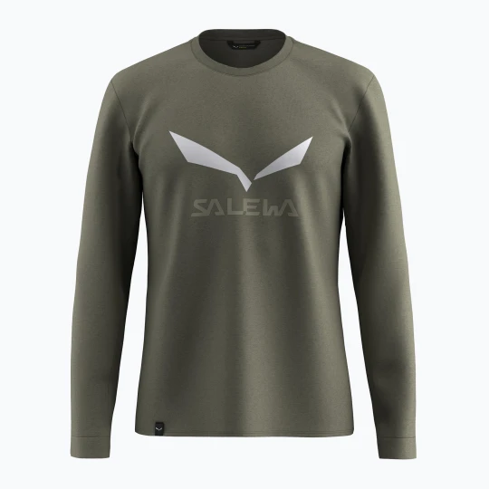 Zdjęcie produktu Longsleeve męski Salewa Solidlogo Dry faded green