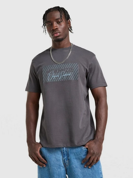 Zdjęcie produktu Mckenzie T-Shirt Levy szary
