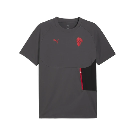 Zdjęcie produktu Męska koszulka AC Milan PUMATECH z kieszenią, Akcesoria, Szary