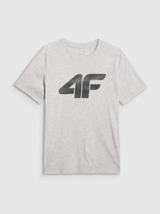 Zdjęcie produktu Męski t-shirt z nadrukiem 4F 4FRMM00TTSHM3251 - szary
