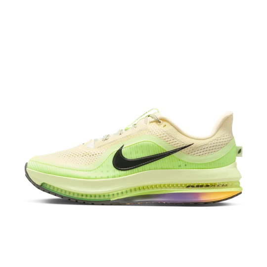 Zdjęcie produktu Męskie buty do biegania po asfalcie Nike Pegasus Premium - Brązowy