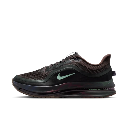 Zdjęcie produktu Męskie buty do biegania po asfalcie Nike Pegasus Premium - Brązowy