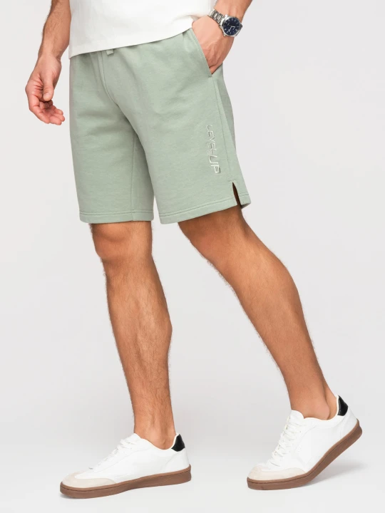Zdjęcie produktu Męskie szorty REGULAR FIT z dzianiny french terry - pastelowa zieleń V3 - Rozmiar: L Ombre Clothing pistacjowy