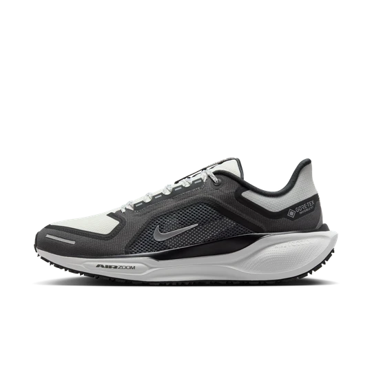 Zdjęcie produktu Męskie wodoszczelne buty do biegania po asfalcie Nike Pegasus GORE-TEX - Czerń