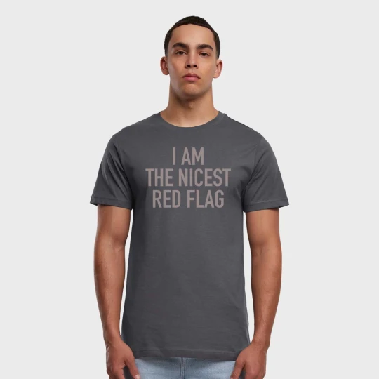 Zdjęcie produktu Nicest Red Flag Tee Mister Tee szary