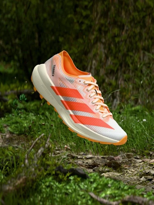 Zdjęcie produktu Obuwie do biegania Szlak Adidas Terrex biały