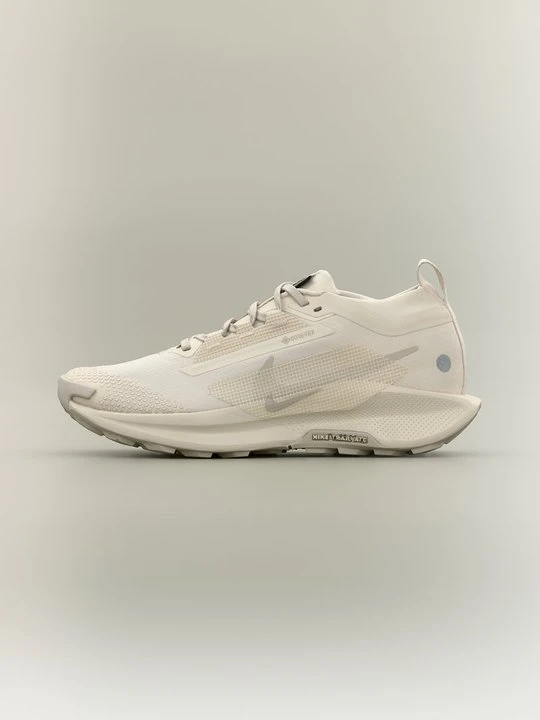 Zdjęcie produktu Obuwie do biegania Szlak Nike biały