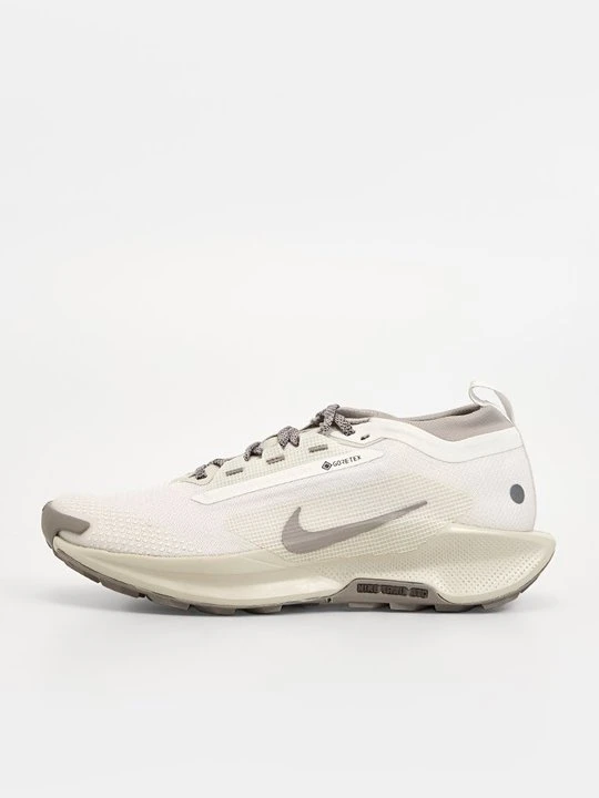 Zdjęcie produktu Obuwie do biegania Szlak Nike szary