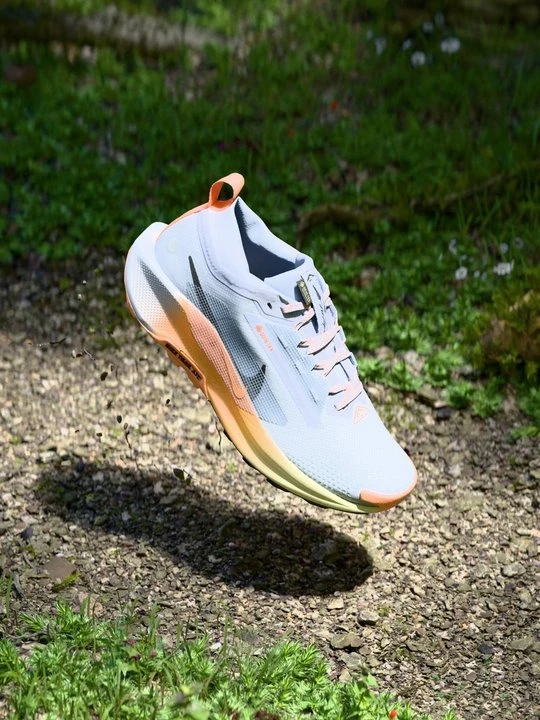 Zdjęcie produktu Obuwie do biegania Szlak Nike szary