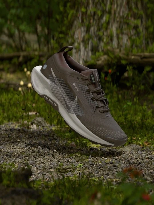 Zdjęcie produktu Obuwie do biegania Szlak Nike brązowy