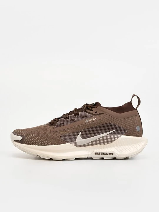 Zdjęcie produktu Obuwie do biegania Szlak Nike brązowy