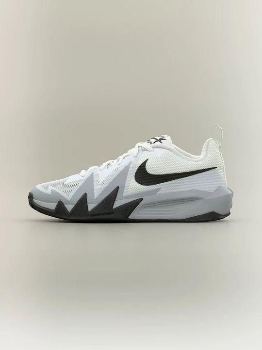 Zdjęcie produktu Obuwie do koszykówki Nike biały