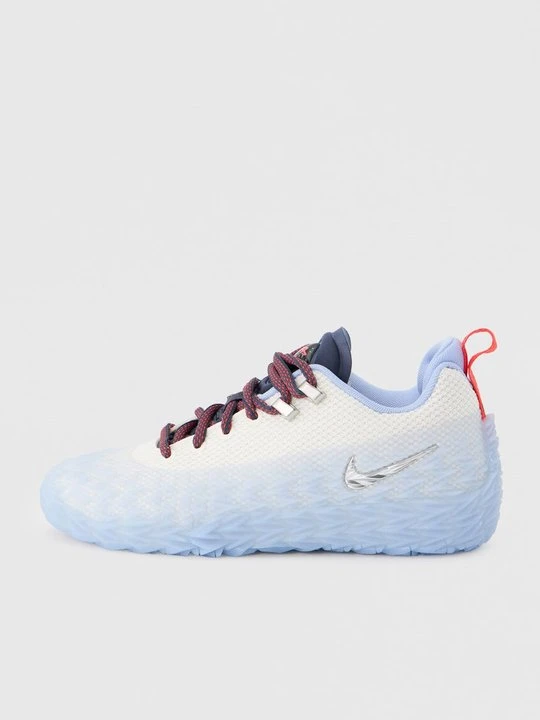 Zdjęcie produktu Obuwie do koszykówki Nike srebrny