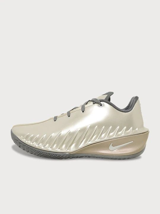 Zdjęcie produktu Obuwie do koszykówki Nike srebrny