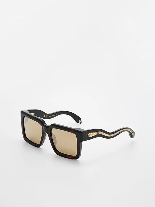 Zdjęcie produktu Okulary przeciwsłoneczne Roberto Cavalli ciemnobrązowy