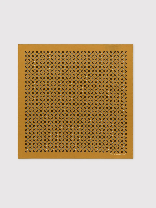 Zdjęcie produktu PAKO LORENTE – Poszetka P22SP-HX-040-Y-0