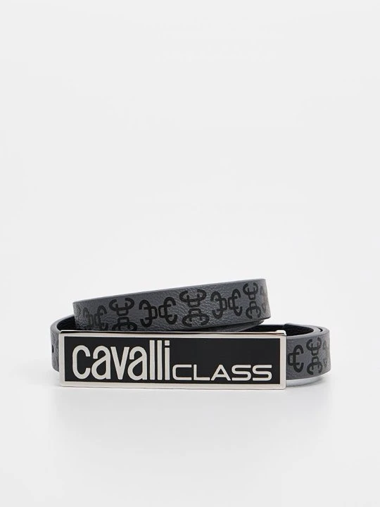 Zdjęcie produktu Pas Cavalli Class szary