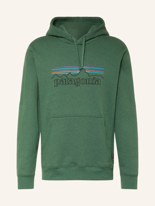 Zdjęcie produktu Patagonia Bluza Z Kapturem P-6 gruen CIEMNOZIELONY