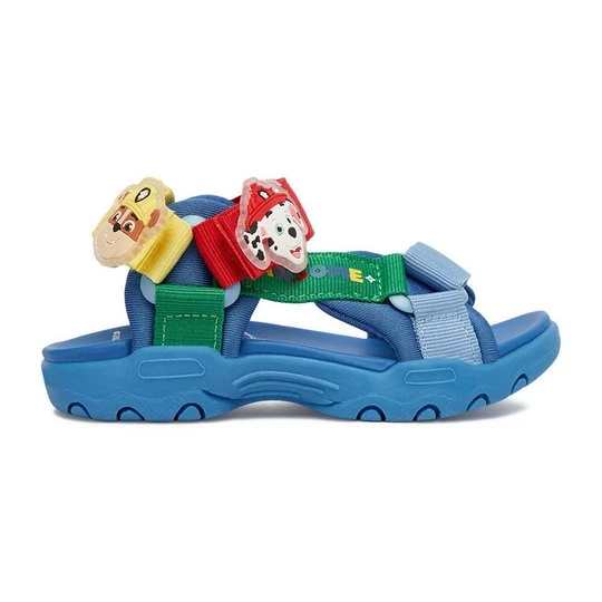 Zdjęcie produktu PAW PATROL CEO-CP76-SS26-337PAW Niebieski