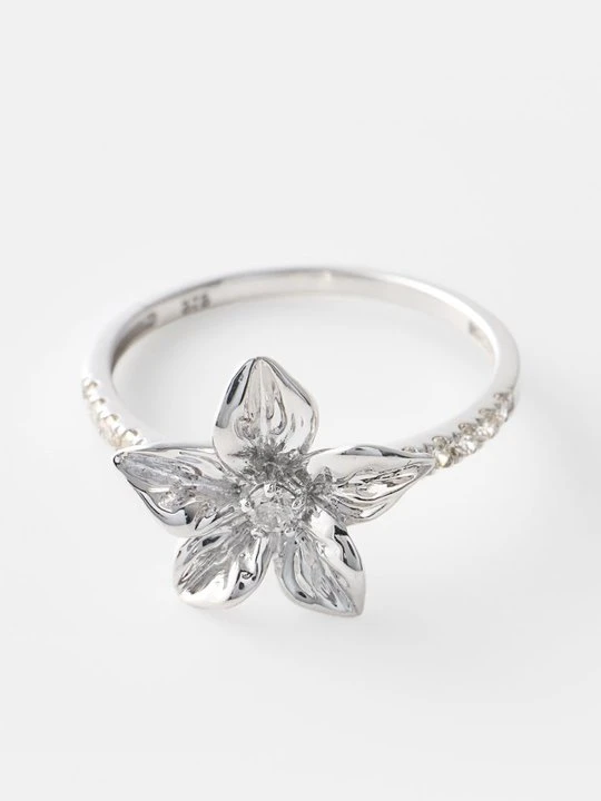 Zdjęcie produktu Pierścionek Diamant Exquis srebrny