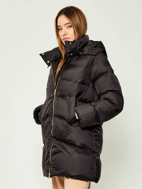 Zdjęcie produktu Pinko Kurtka | Regular Fit czarny