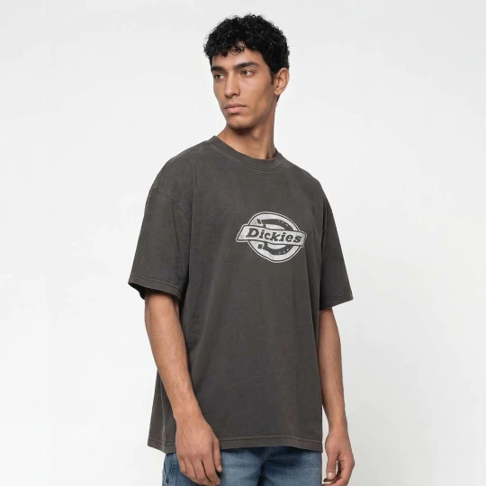 Zdjęcie produktu Plainville Shortsleeve Tee Dickies szary